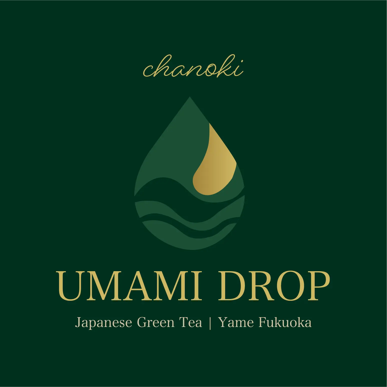 UMAMI DROP 福岡八女産煎茶ティーバッグ 表